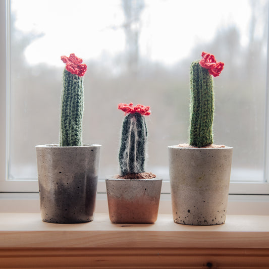 Décoration Simpliste et Rustique : Comment les Plantes en Laine Apportent Charme et Authenticité à Votre Intérieur