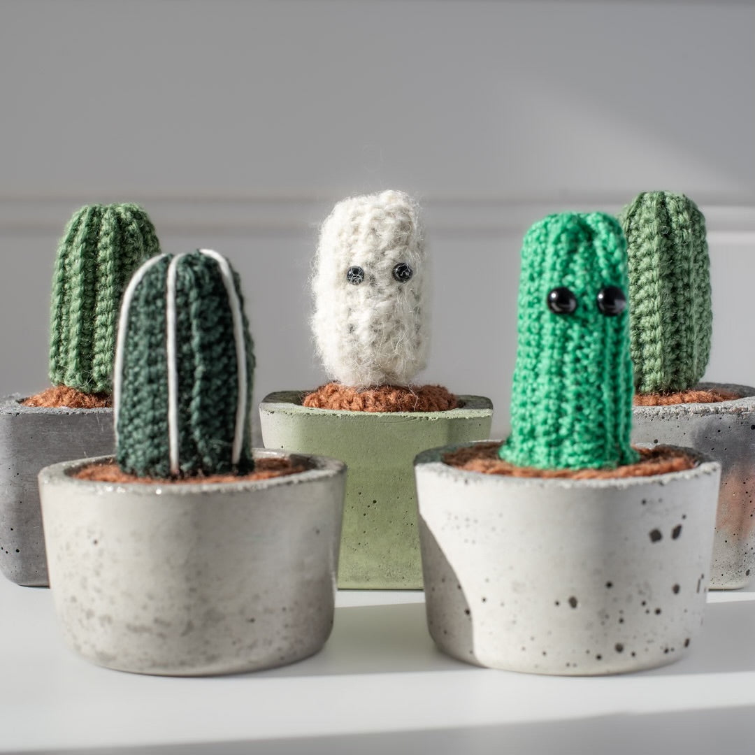 Petit cactus