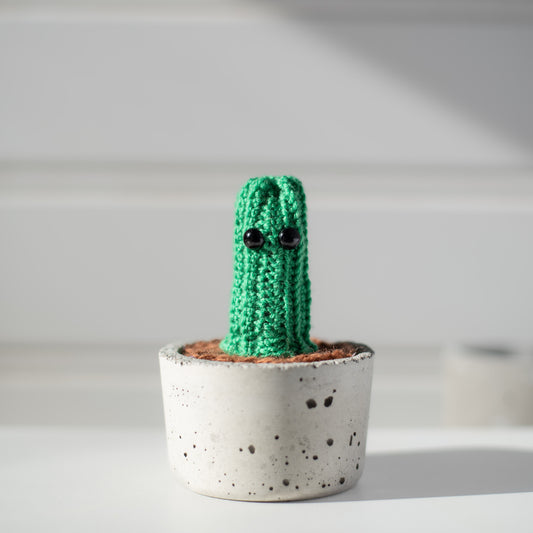 Petit cactus