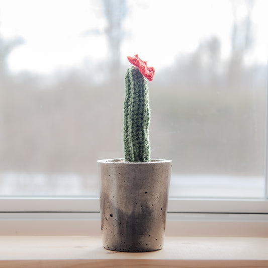 Grand cactus