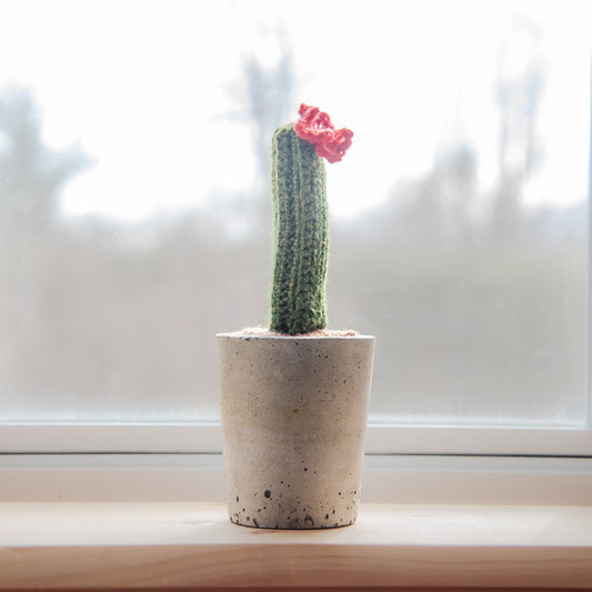 Grand cactus