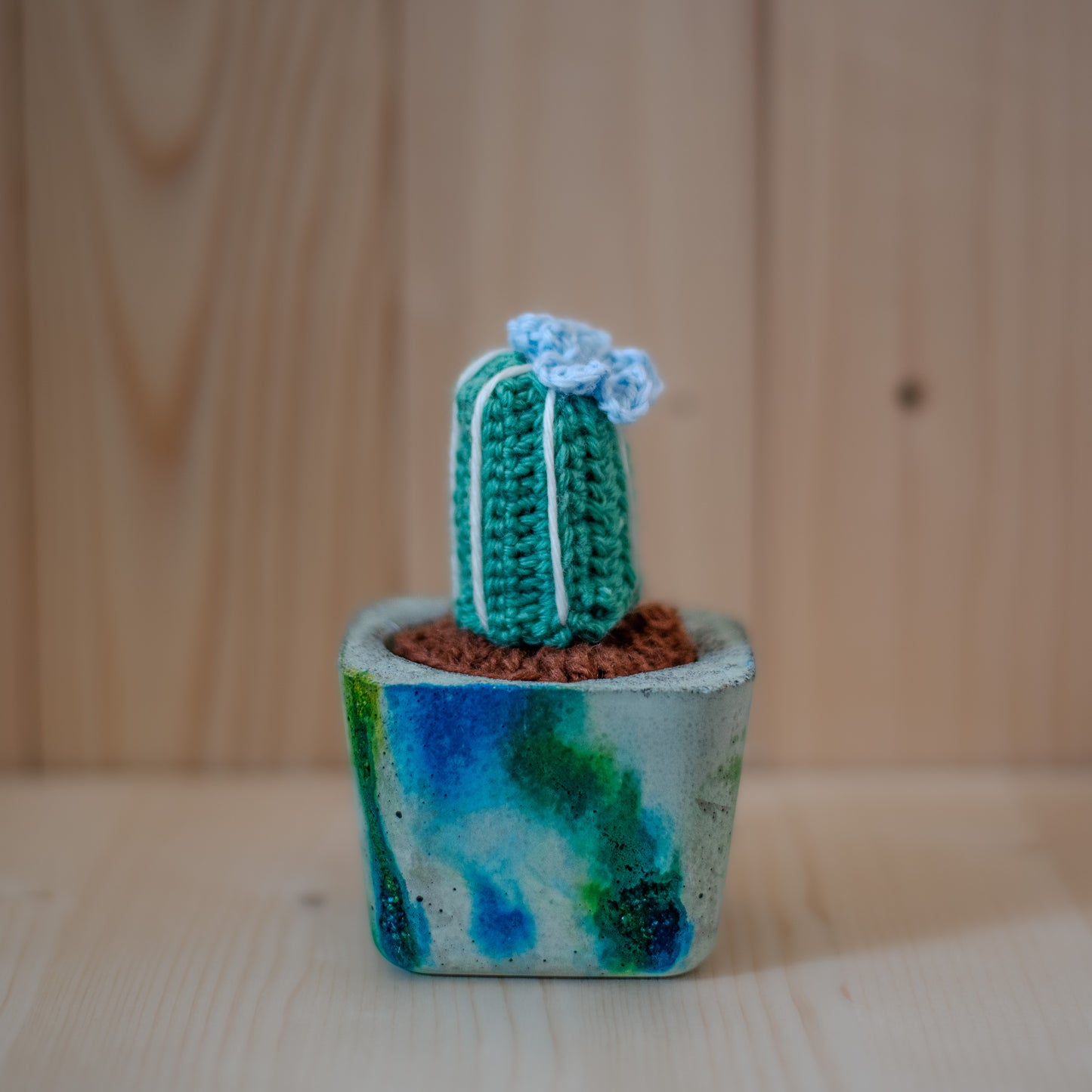 Small cactus