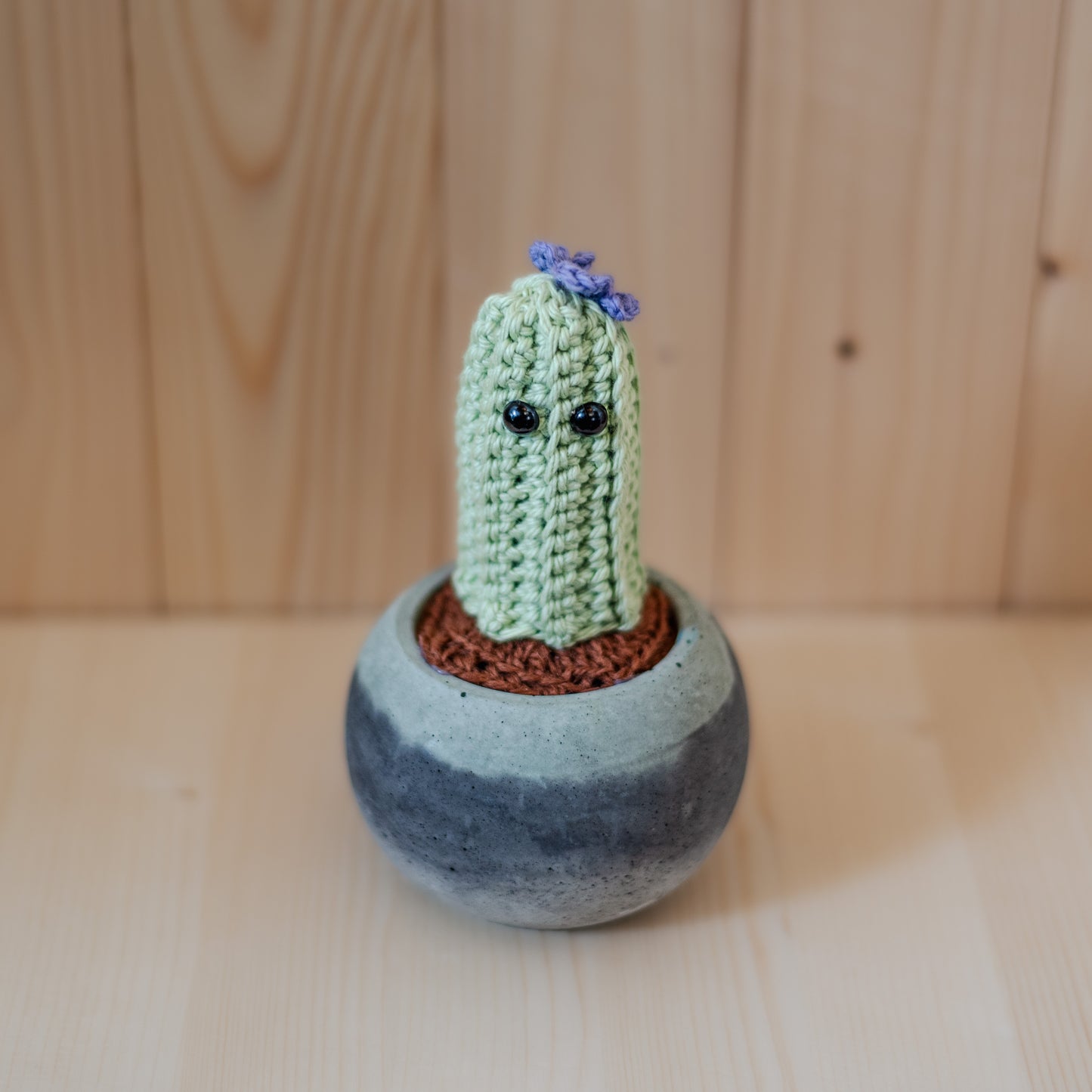 Petit cactus-rond