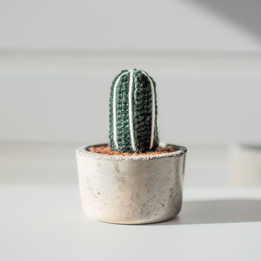 Petit cactus