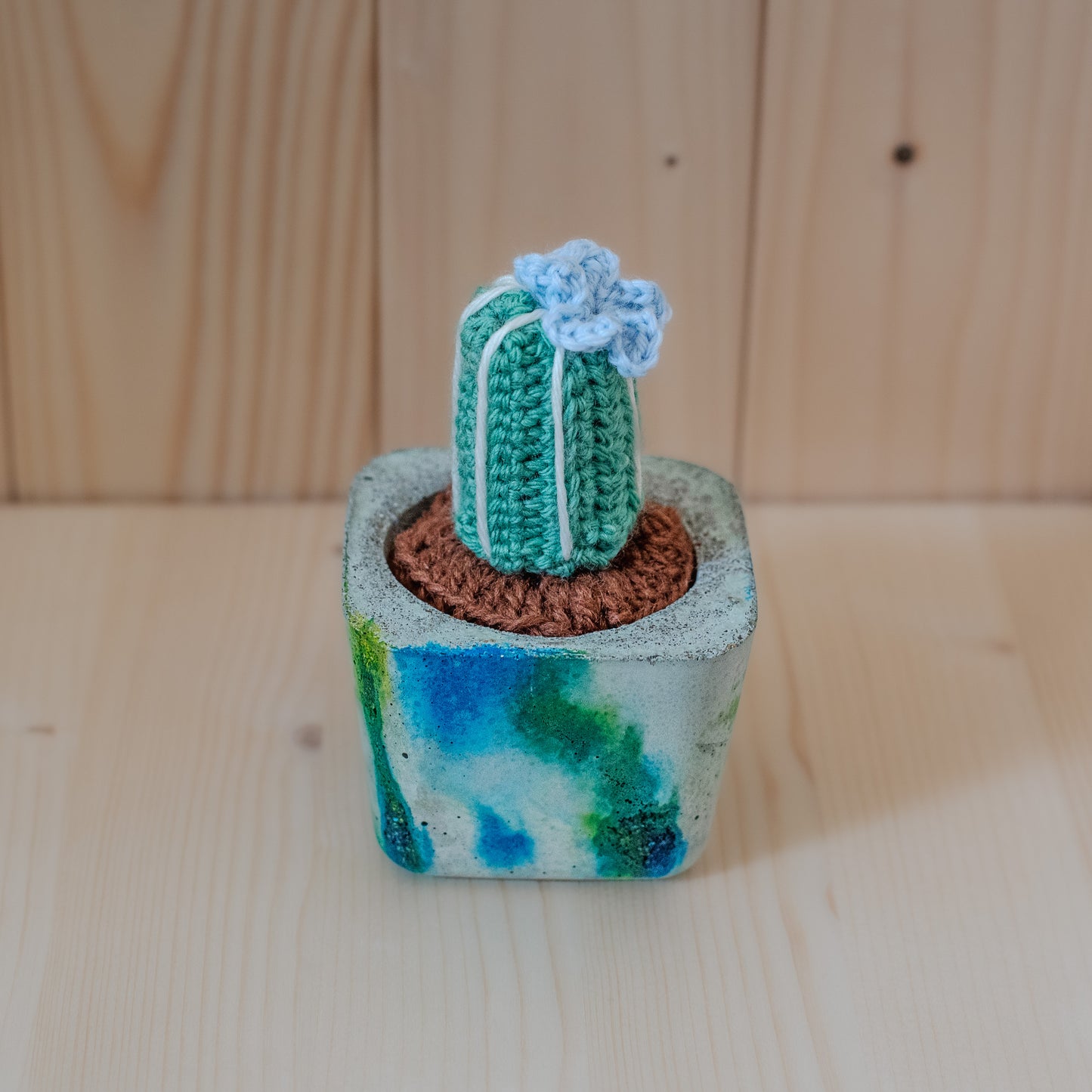 Small cactus