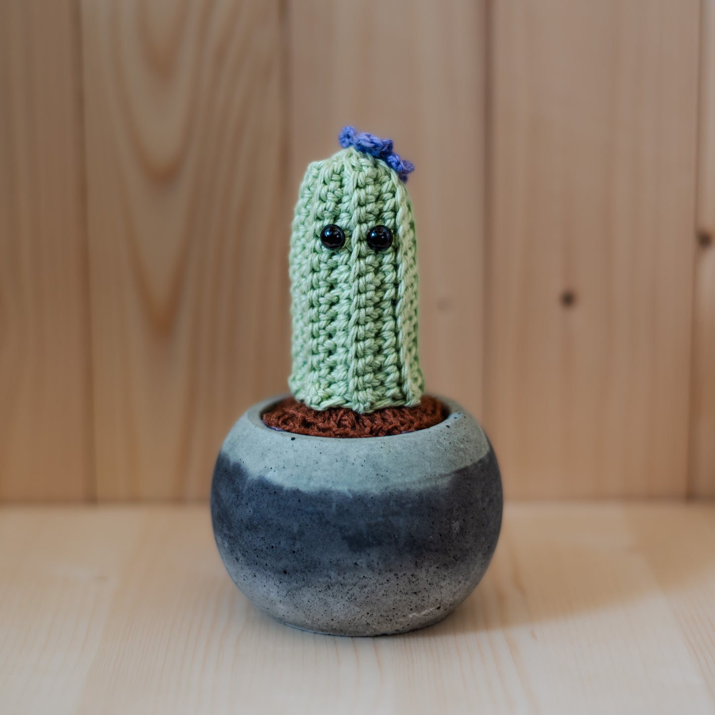 Petit cactus-rond